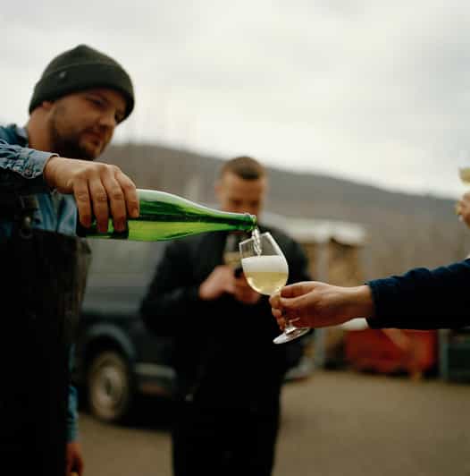 Reil, Mosel: Guided organic wine tasting and cellar tour - The vineyard walk: 1 hour of organic vines and real answers
