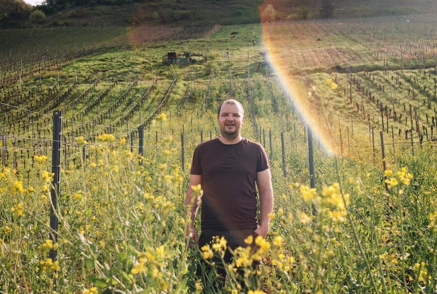 Reil, Mosel: Guided organic wine tasting and cellar tour - Price and value: what $29 buys you in Reil