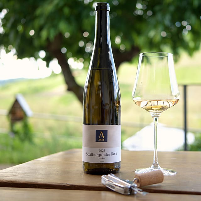 Reil, Mosel: Guided organic wine tasting and cellar tour - What you’ll learn about soil, diversity, and sustainability
