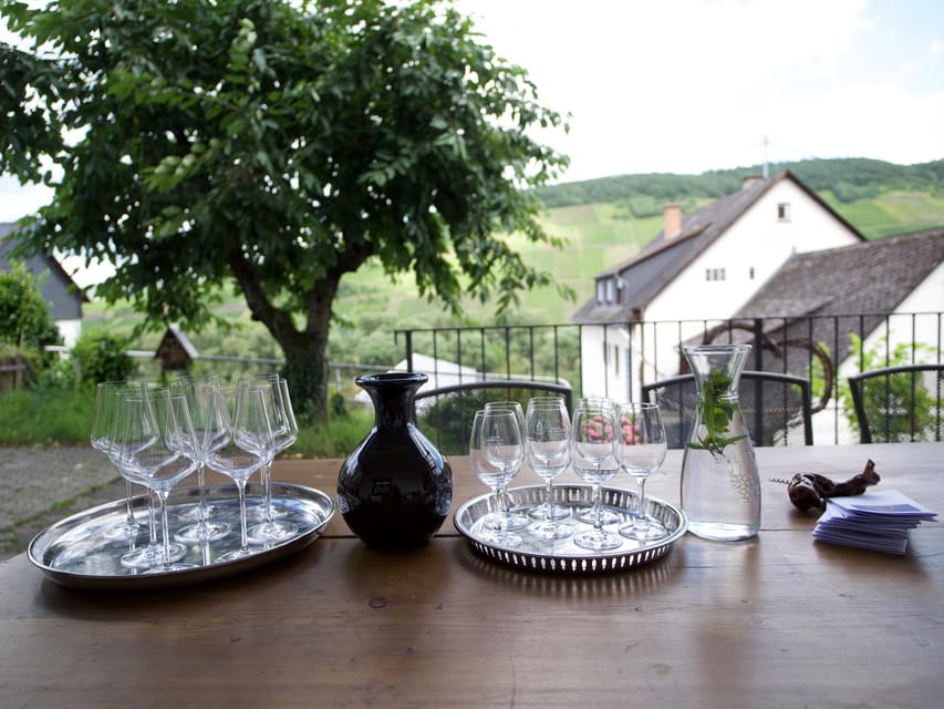 Reil, Mosel: Guided organic wine tasting and cellar tour - Who should book this organic wine tour at Weingut Arns