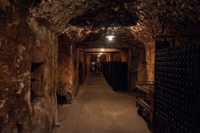 Reims afternoon tour Champagne and family growers - Stop 1: Champagne-Ardenne and Your First 3-Glass Tastings