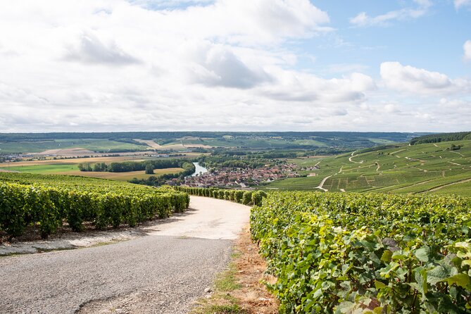 Reims afternoon tour Champagne and family growers - Stop 4: The Second Champagne-Ardenne Winery Visit (Another 3 Glasses)