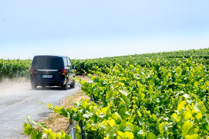 Reims afternoon tour Champagne and family growers - How the Guide Turns Tasting Into Real Learning