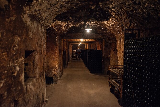 Reims afternoon tour Champagne and family growers - Stop 1: Champagne-Ardenne and Your First 3-Glass Tastings