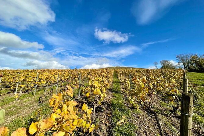 Reims or Epernay: Full day Champagne Mumm, family grower & lunch - The tasting class: learning grape-to-bottle so the flavors make sense