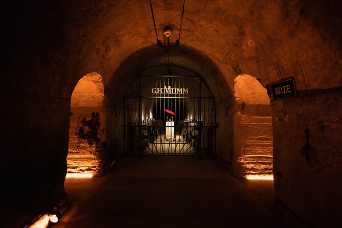 Reims or Epernay: Full day Champagne Mumm, family grower & lunch - La Montagne de Reims vineyard walk: grape variety lessons with fresh air