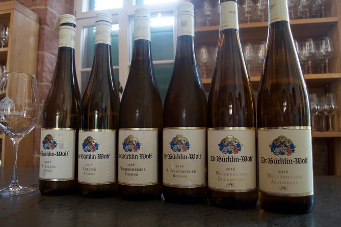 Rhine Valley Wine Tasting Tour from Frankfurt and Mainz - Frankfurt or Mainz Pickup at 10:00: where the day starts