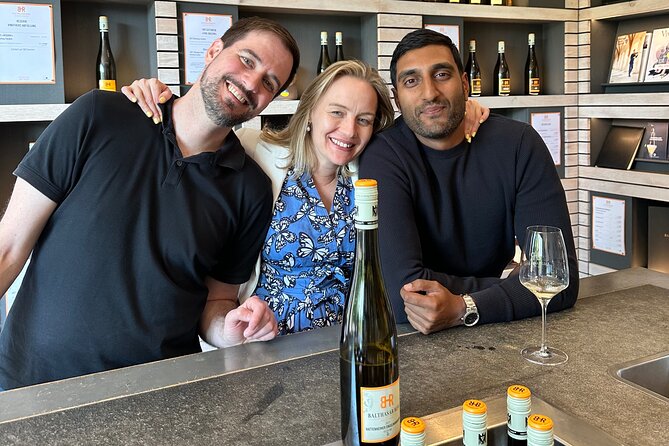Rhine Valley Wine Tasting Tour from Frankfurt and Mainz - Winery stops: cellar tours, 10+ wines, and what that really means