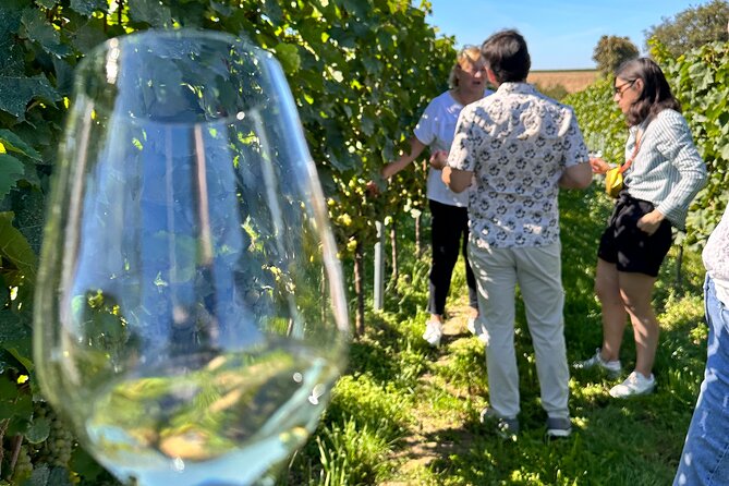 Rhine Valley Wine Tasting Tour from Frankfurt and Mainz - Buying bottles and shipping them home