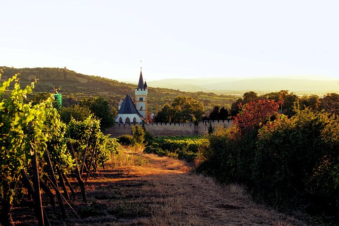 Rhine Valley Wine Tasting Tour from Frankfurt and Mainz - Who should book this Rhine Valley day from Frankfurt or Mainz