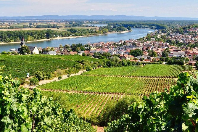 Rhine Valley Wine Tasting Tour from Frankfurt and Mainz - Rhine Valley Sights: 1000-year villages and the route to Rüdesheim