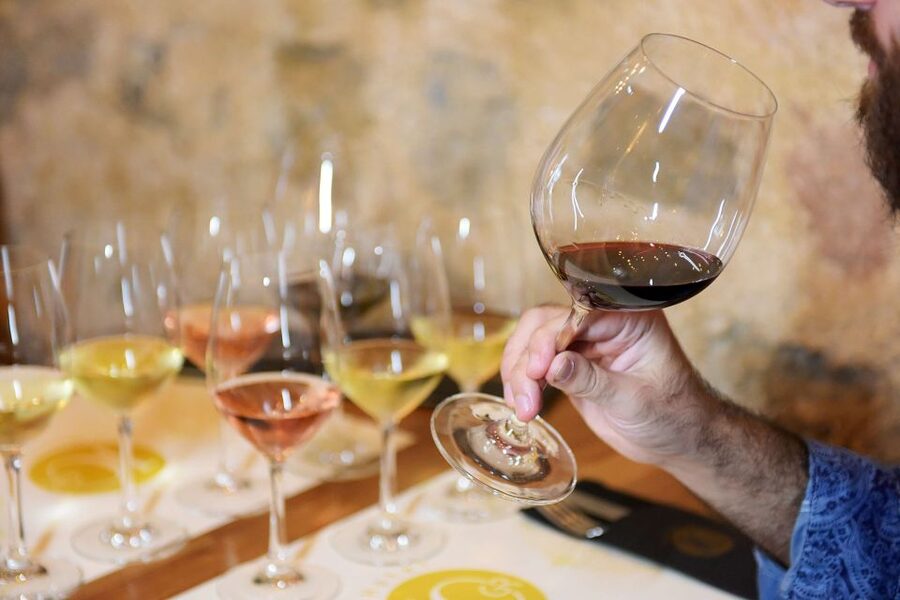 Rhodes: Private Wine Tasting Experience for Beginners - Timing and pacing: 50 minutes is short, in a good way