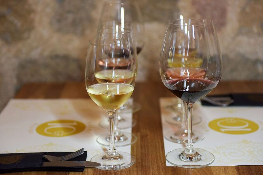 Rhodes: Private Wine Tasting Experience for Beginners - Price and value: why $39.52 per person can make sense
