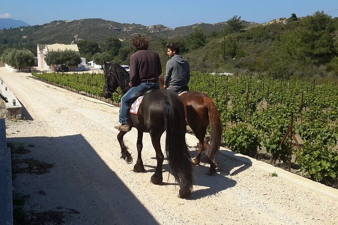 Rhodes Wine & Food Tour: 10 Meal Course Lunch, Wine Tasting, Cooking Class - A Family-Winery Day Outside Rhodes Town