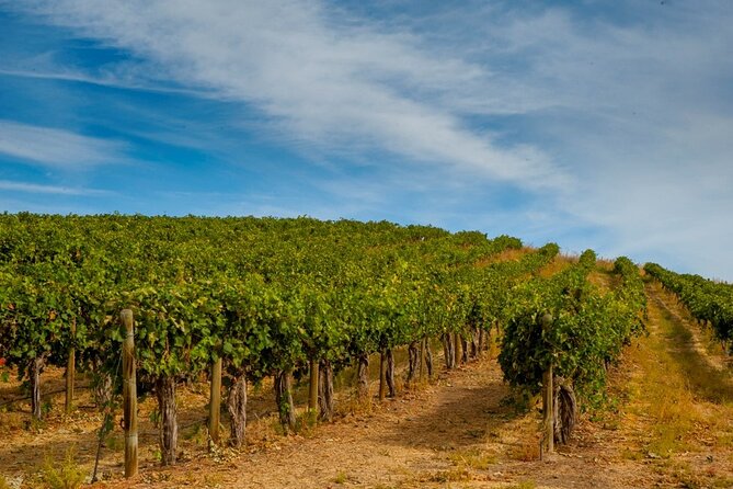 Rhodes Wine & Food Tour: 10 Meal Course Lunch, Wine Tasting, Cooking Class - Who Should Book, and Who Might Want a Different Style