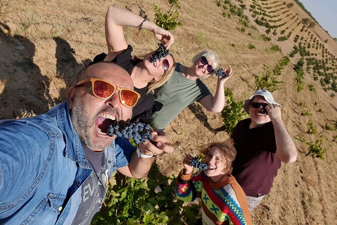Ribera del Duero:4 Wineries, tasting & Lunch included from Madrid - Stop 1: Underground Cellars, Vineyards, and Biodynamic vs Traditional