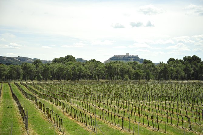 Ribera del Duero Wineries Guided Tour & Wine Tasting from Madrid - Key moments you’ll remember