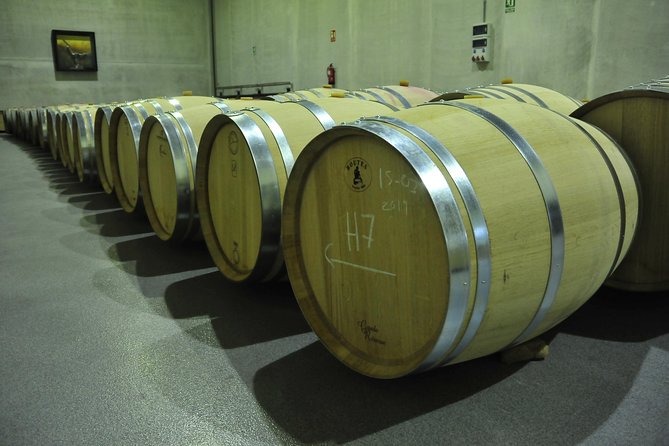 Ribera del Duero Wineries Guided Tour & Wine Tasting from Madrid - Ribera del Duero in One Day: what this tour really sells