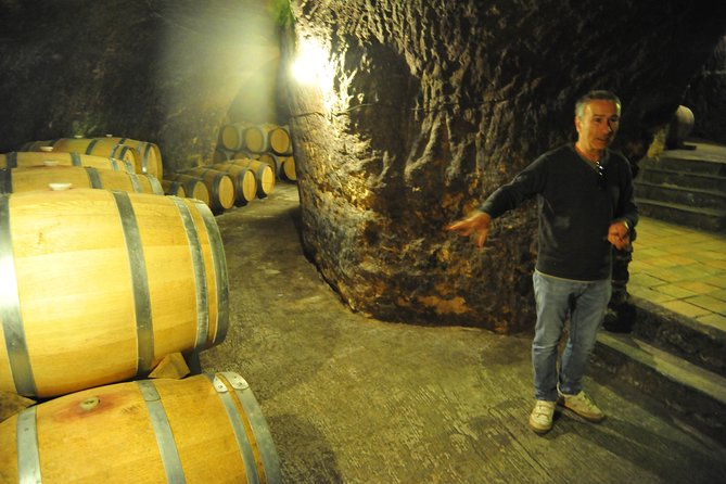 Ribera del Duero Wineries Guided Tour & Wine Tasting from Madrid - Stop in Aranda de Duero: Tempranillo, explained from grape to bottle