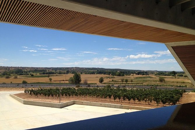 Ribera del Duero Wineries Guided Tour & Wine Tasting from Madrid - Curiel de Duero’s underground cellar: the medieval part you’ll brag about