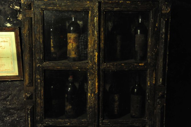 Ribera del Duero Wineries Guided Tour & Wine Tasting from Madrid - What the tastings are like (and why snacks matter)