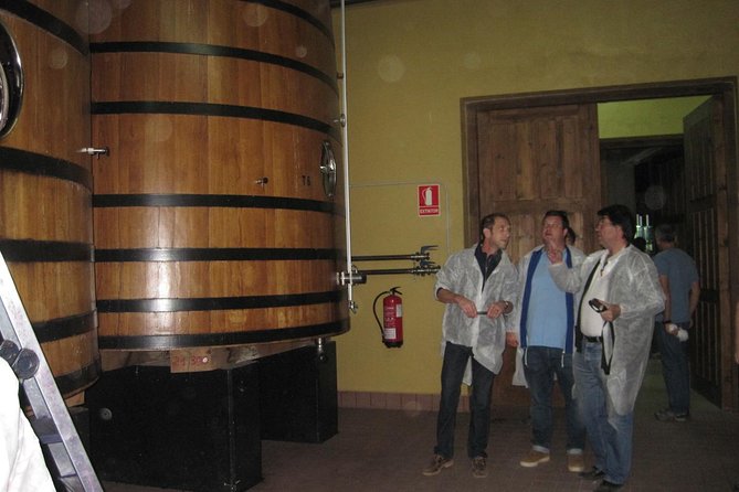 Ribera del Duero Winery Guided Tour and Wine Tasting from Madrid - Ribera del Duero in one packed day from Madrid
