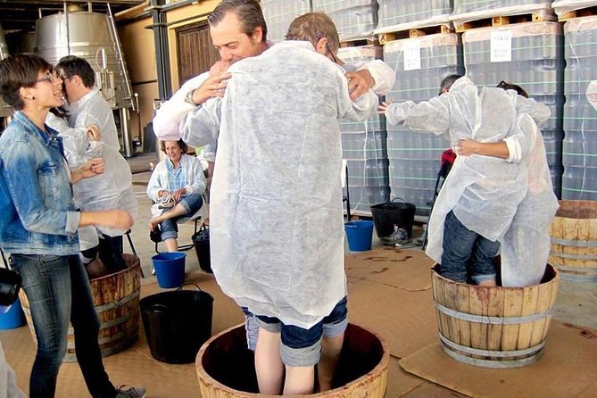 Ribera del Duero Winery Guided Tour and Wine Tasting from Madrid - Afternoon medieval choices: castles and towns at your pace