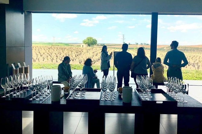 Ribera del Duero Winery Guided Tour and Wine Tasting from Madrid - Getting to Ribera: the drive matters more than you’d think