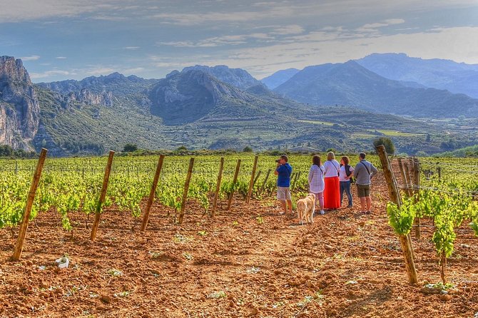Rioja Like A Native Wine Tour - Key moments that make this tour worth your time