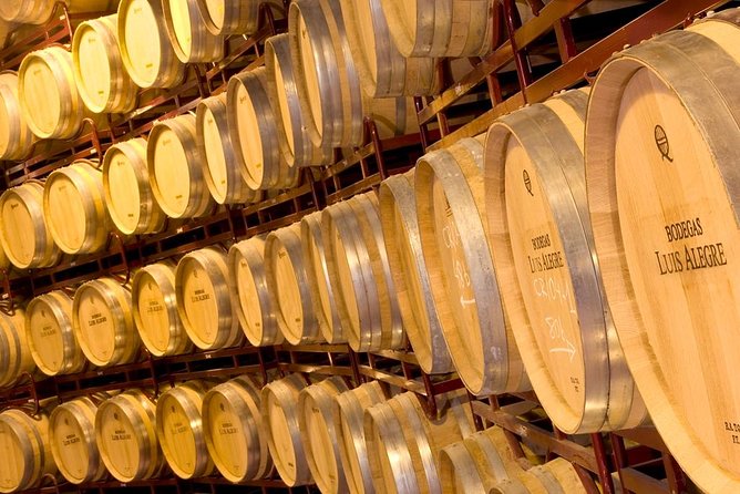 Rioja Wine Tour: 2 Wineries From Bilbao - Laguardia and the Light Meal: A Real Break, Not Just a Pit Stop