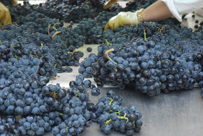 Rioja Wine Tour: 2 Wineries From Bilbao - Guides Who Connect Wine to Place (Eduardo, Pilar, Jose, and More)