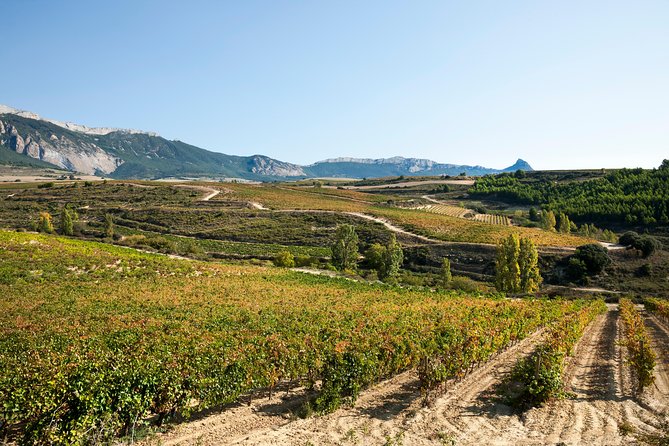 Rioja Wine Tour: 2 Wineries Visit with Tasting from San Sebastian - The second winery: why two stops matter