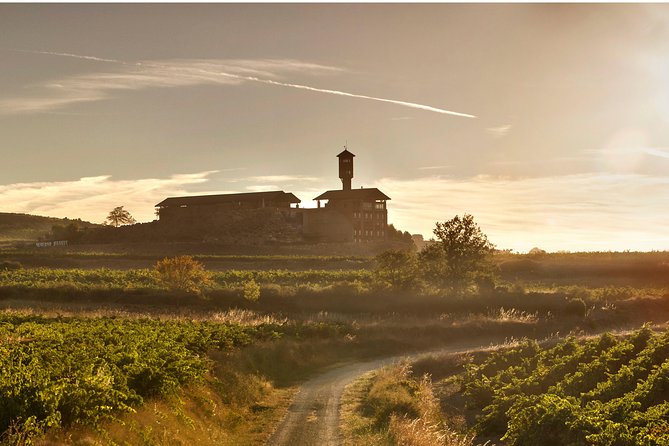 Rioja Wine Tour: 2 Wineries Visit with Tasting from San Sebastian - The guides make the difference (and names you might see)