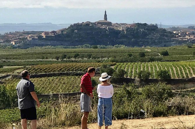 Rioja Wineries and Laguardia Tour with Picnic from San Sebastian - Key highlights to know before you go