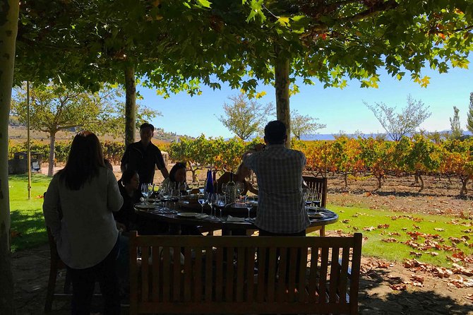 Rioja Wineries and Laguardia Tour with Picnic from San Sebastian - From San Sebastian to Rioja: timing, comfort, and how the day flows
