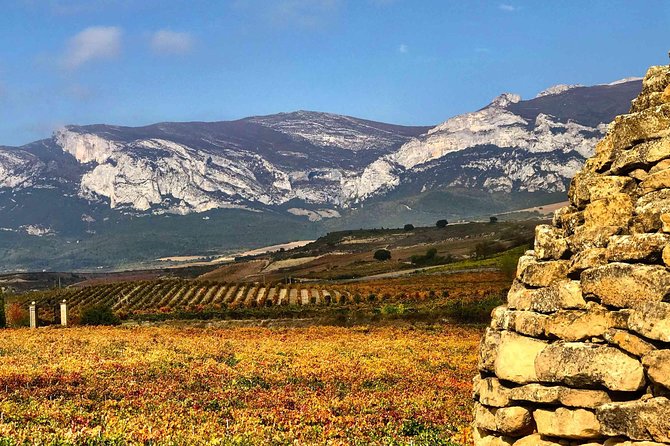 Rioja Wineries and Laguardia Tour with Picnic from San Sebastian - Ysios: modern architecture plus Rioja wine education