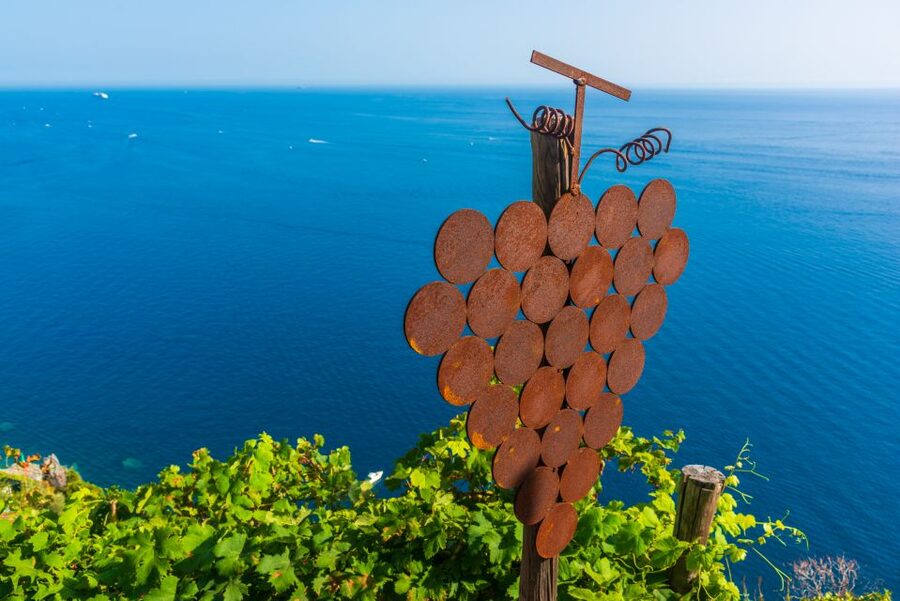 Riomaggiore: Vineyard & Wine Cellar Tour with Wine Tasting - Key highlights to look for