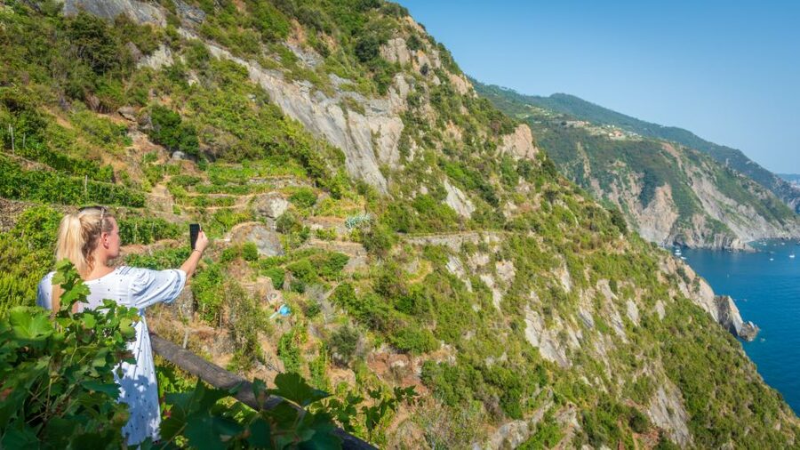Riomaggiore: Vineyard & Wine Cellar Tour with Wine Tasting - Vertical vineyards in Riomaggiore: what you’re really seeing