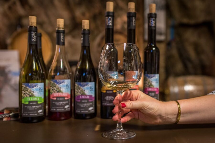 Riomaggiore: Vineyard & Wine Cellar Tour with Wine Tasting - The vineyard walk: steep footing, short time, real views