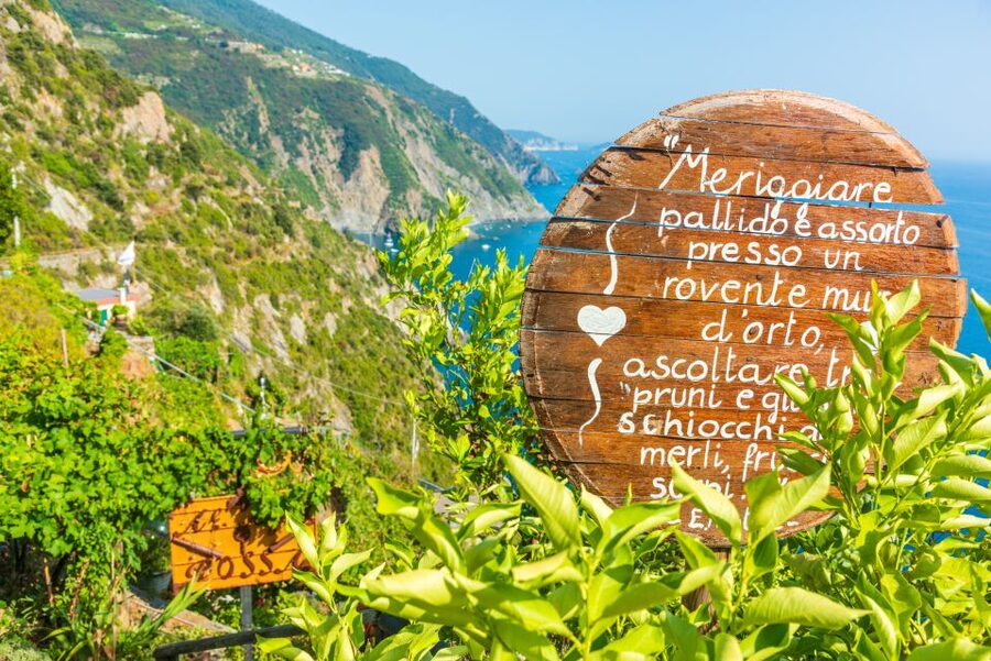 Riomaggiore: Vineyard & Wine Cellar Tour with Wine Tasting - Meet the winemaker’s world: tradition, research, and organic choices
