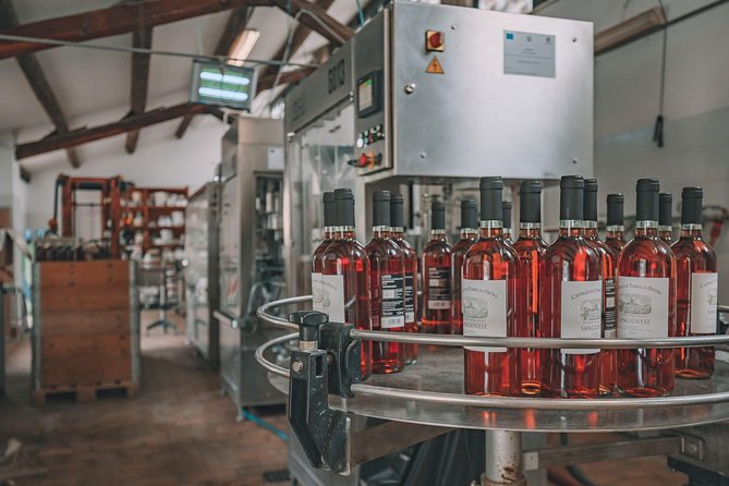 Roman countryside Food & Wine Tasting in a medieval winery - Cantina Castello di Torre in Pietra: Touring a Medieval Borgo Winery