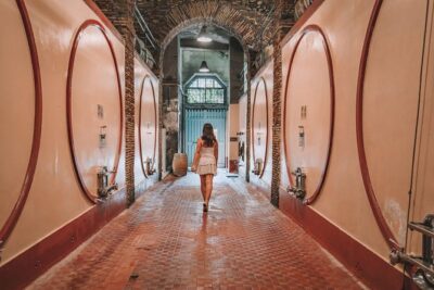 Roman countryside Food & Wine Tasting in a medieval winery - Three Wines and a Real Sommelier: What You Learn to Taste