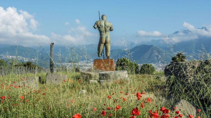 Rome: Pompeii Tour with Wine and Lunch by High Speed Train - High-Speed Rome to Pompeii: the value behind the 9-hour day