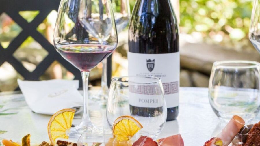Rome: Pompeii Tour with Wine and Lunch by High Speed Train - Naples to Pompeii: quick transfer, less friction