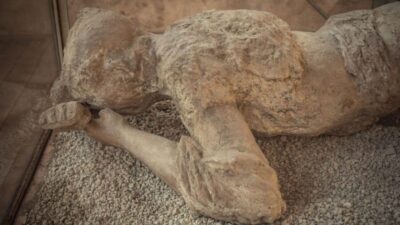 Rome: Pompeii Tour with Wine and Lunch by High Speed Train - The train ride to Naples: comfort you’ll notice