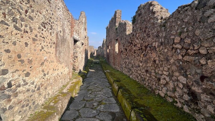 Rome: Pompeii Tour with Wine and Lunch by High Speed Train - Wine tasting near Vesuvius: lunch in volcanic-soil flavor territory