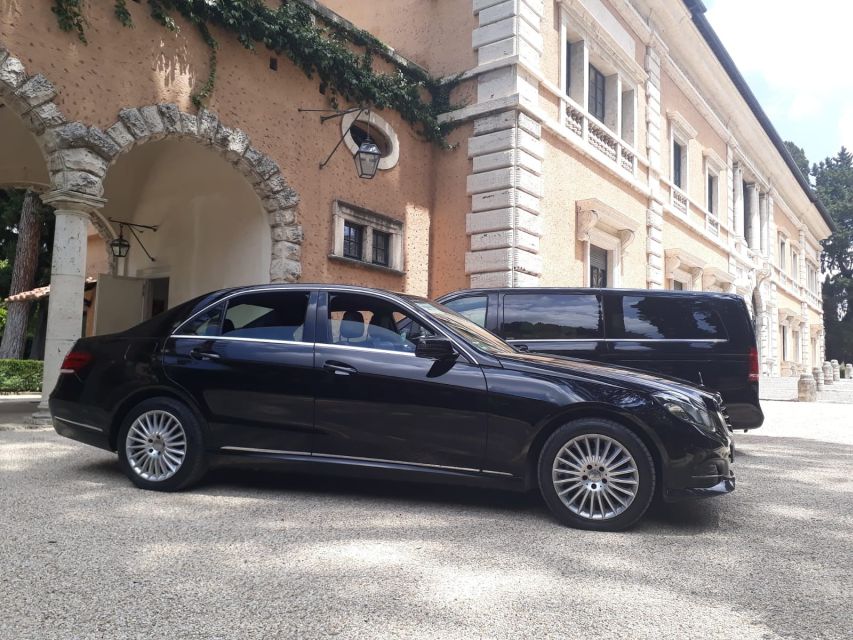 Rome: Private Countryside Wine Tasting Tour - What you taste at the guided tasting: wines plus olive oil and bread