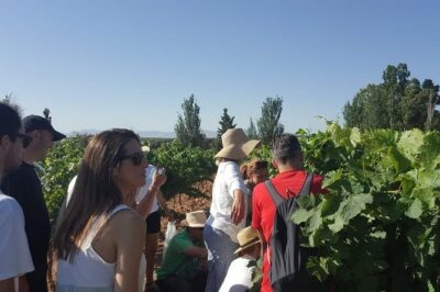 Ronda Day Tour and Winery Visits from Marbella - Ronda in two hours: bullring, Roman town vibes, and Puente Nuevo