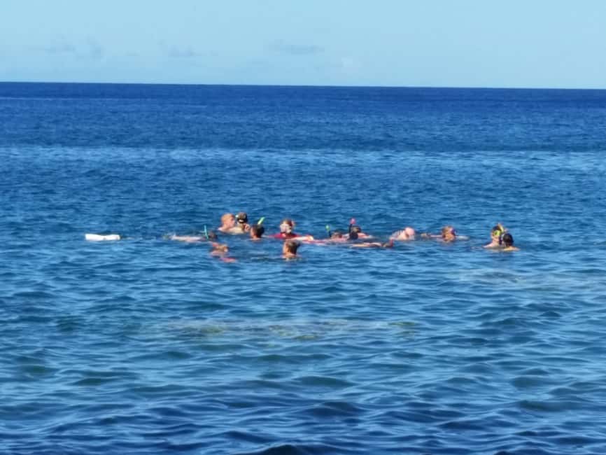 Roseau: Titou Gorge, Hot Spring, Falls & Champagne Reef Tour - Champagne Reef: Snorkeling at an Underwater Volcano