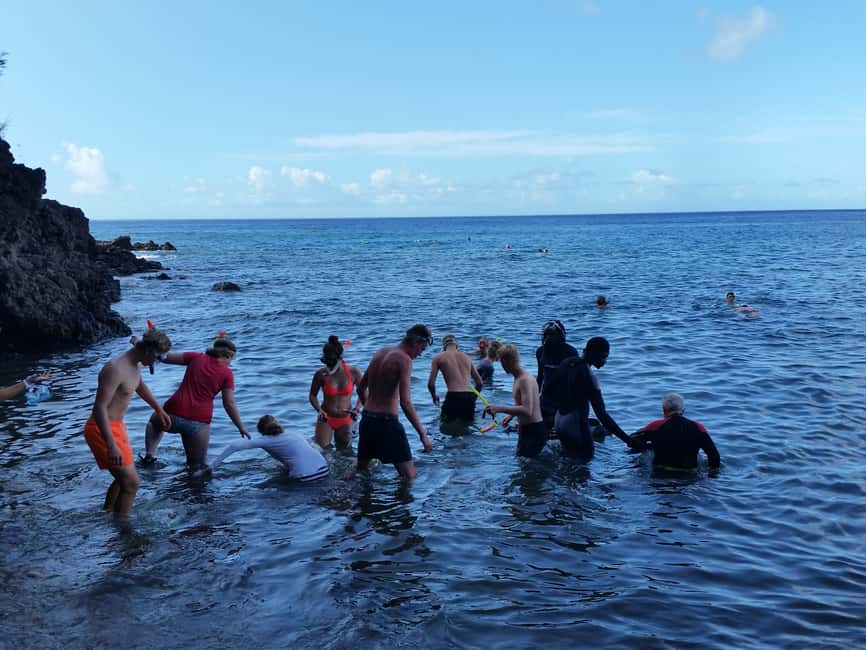 Roseau: Titou Gorge, Hot Spring, Falls & Champagne Reef Tour - Roseau Snack Stop and Local Refills